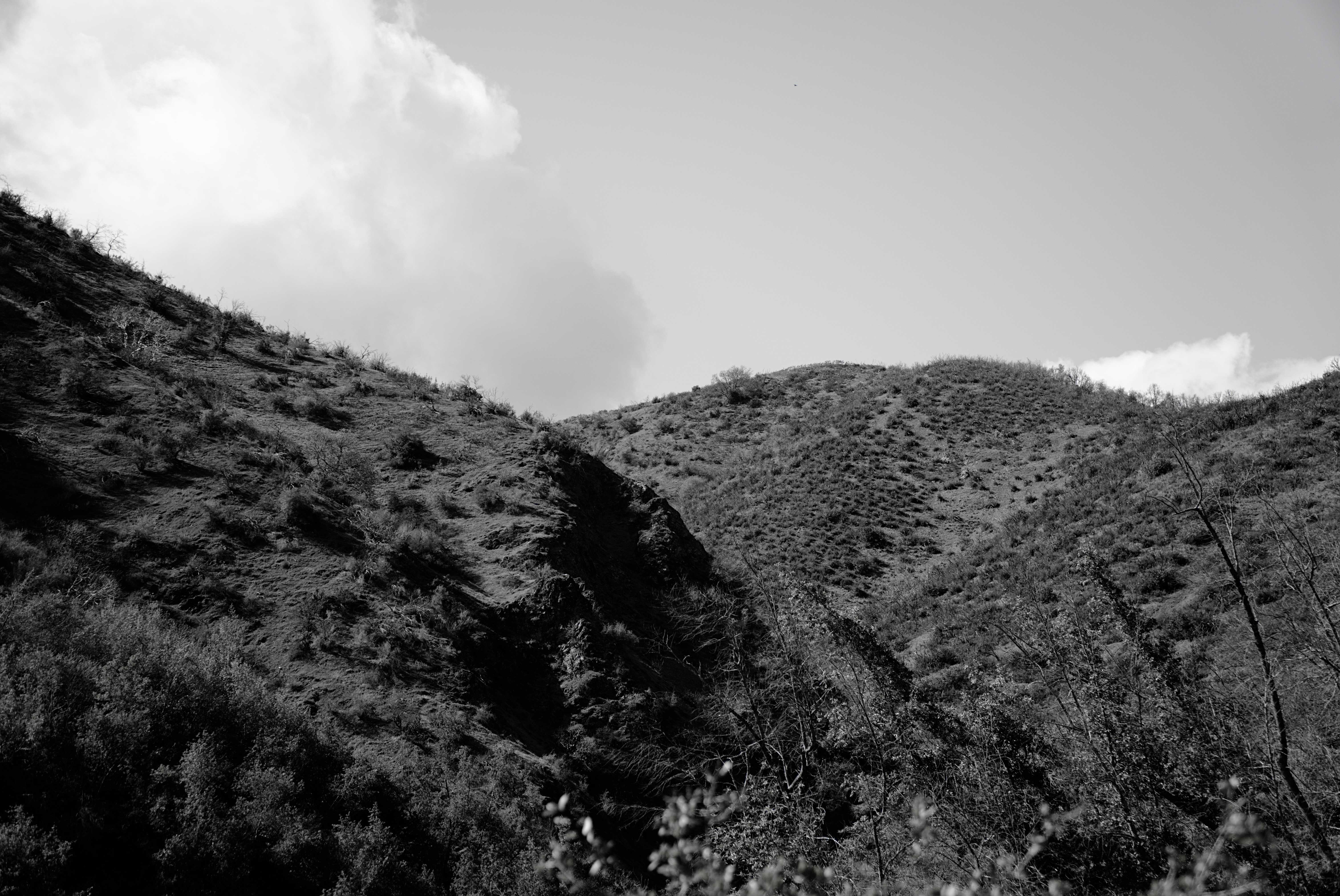 DSC07011